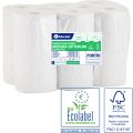 MERIDA OPTIMUM CENTER PULL roll toilet paper, white, 2 -ply, 14 cm diameter, 100% recycled paper, 80 m (12 rolls / pack.)